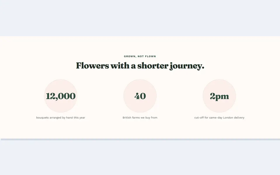 Florist circles — elementor stats & numbers template
